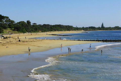 Roseneath Villa B & B - Sydney 4u 5