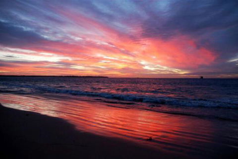 Roseneath Villa B & B - Sydney 4u 1