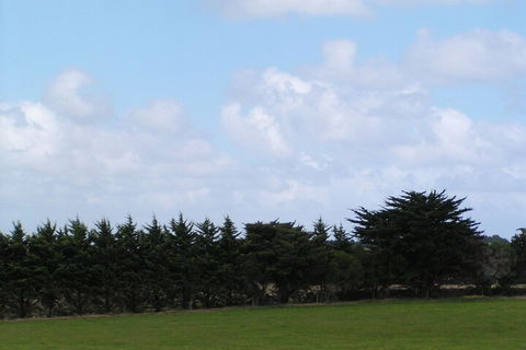 Karingal Homestead B & B - Accommodation Sydney 5