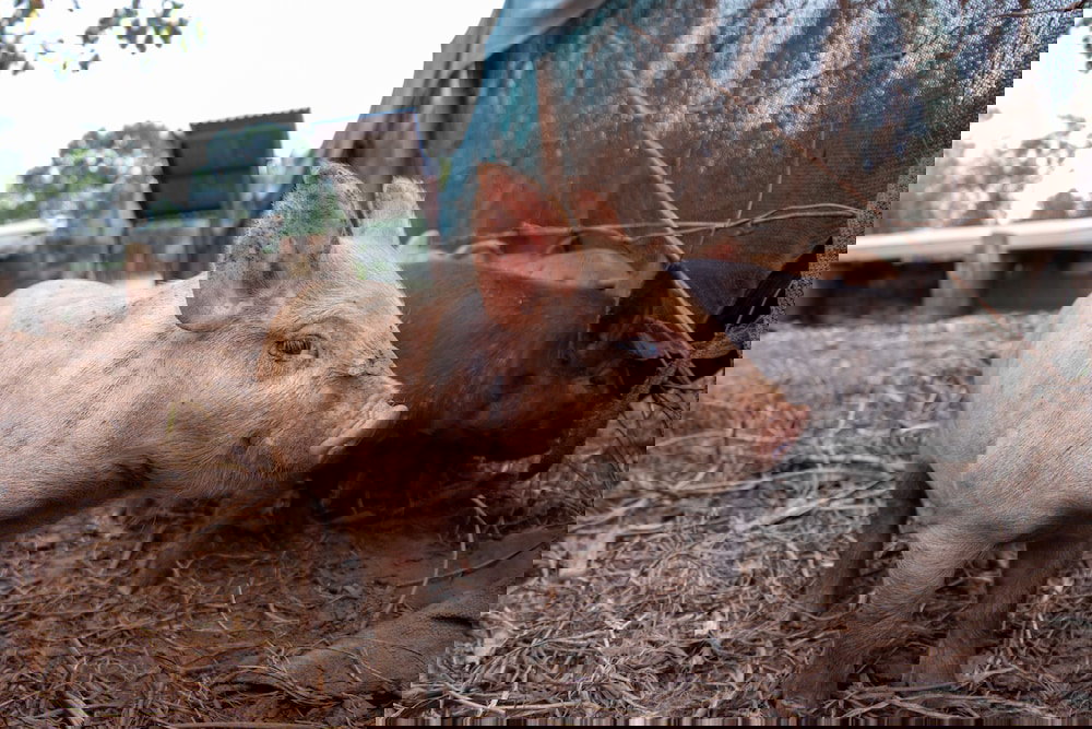  Accommodation Sydney