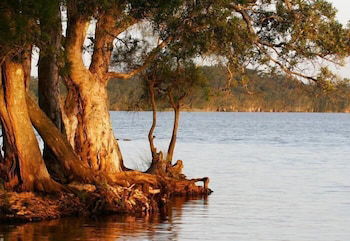 NRMA Myall Shores Holiday Park - Sydney 4u 2