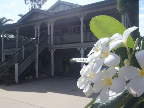 Driftwood Bed And Breakfast - Accommodation Sydney 0