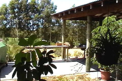 Ocean Vines Retreat - Accommodation Sydney 5