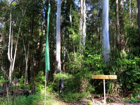 Yarralen Retreat - Accommodation Sydney 4