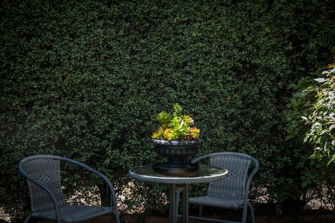 Battery Point Boutique Accommodation - Accommodation Sydney 3