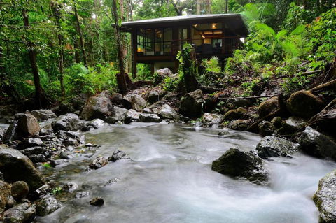Black Palm Cape Tribulation - Accommodation Sydney 3