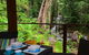 Black Palm Cape Tribulation - thumb 2