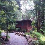 Black Palm Cape Tribulation - Accommodation Sydney 0