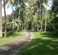 Cape Trib Farmstay - Accommodation Sydney