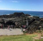 Sea Whispers - Accommodation Sydney