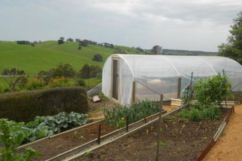 Emerald Hills Cottage - Accommodation Sydney 7