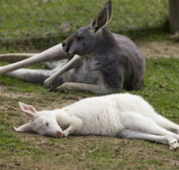 A Twist of Willow - Accommodation Sydney
