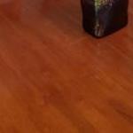  Accommodation Sydney