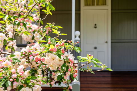 Apple Blossom Cottage - Sydney 4u 0