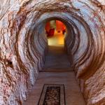 Venushill B+B - Sydney 4u 0