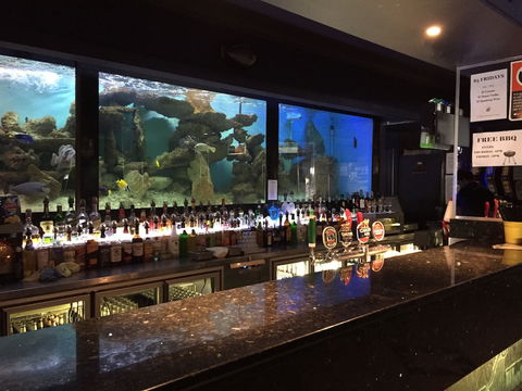 Harp Hotel - Accommodation Sydney 4