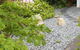 Glenlusk Gardens - thumb 3