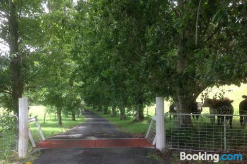 Whispers At Cedar Grove - Accommodation Sydney 7