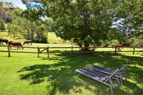Whispers At Cedar Grove - Accommodation Sydney 5