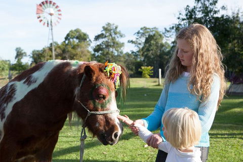 Kings Creek Retreat - Accommodation Sydney 5