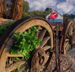 Bellum Hotel - Accommodation Sydney