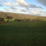 Mancuso Country Cottage Retreat - Sydney 4u 0