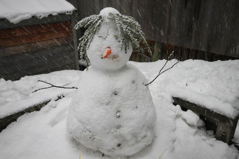 CHILL OUT At THREDBO - Accommodation Sydney 2