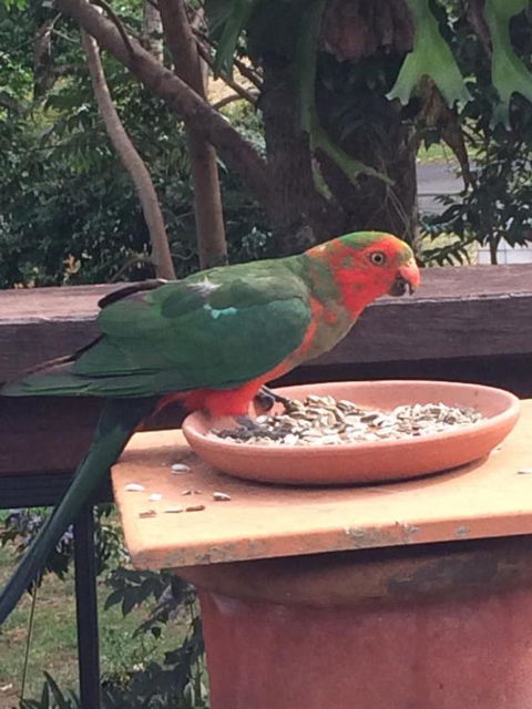 PK Illusions - Accommodation Sydney 6