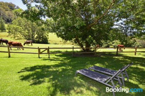 Secrets At Cedar Grove - Sydney 4u 2