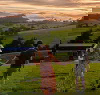 Tilba Lake Pods - Accommodation Sydney