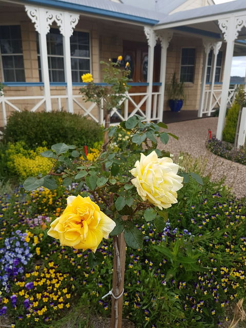 Grovely House Bed & Breakfast - Accommodation Sydney 3