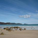 Sisters Beach House - Sydney 4u 0