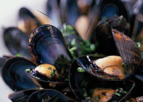 Peppermint Bay - Bar, Dining And Terrace - Sydney 4u 6