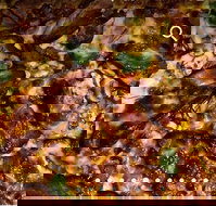 Pizza D'oh - Accommodation Sydney