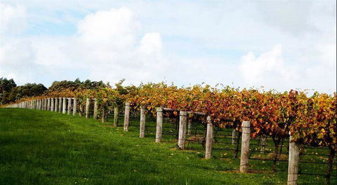 Arimia Restaurant And Winery - Sydney 4u 10