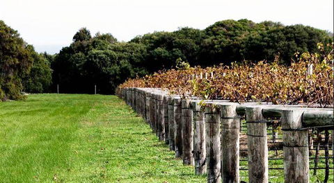 Arimia Restaurant And Winery - Sydney 4u 5