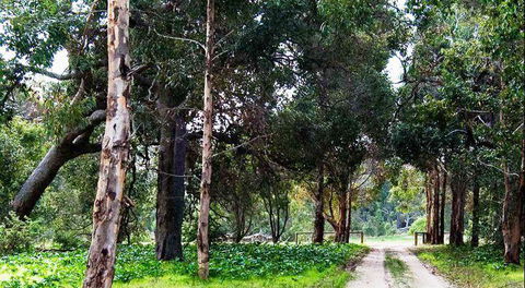 Arimia Restaurant And Winery - Sydney 4u 7