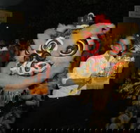 Lion Dance - Accommodation Sydney