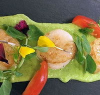 Cafe Amphora - Sydney 4u