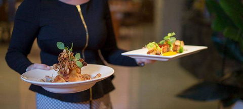 Cafe Amphora - Sydney 4u 1