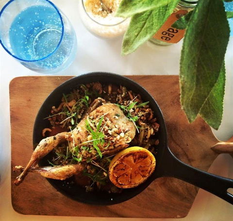 H2O Restaurant & Bar - Accommodation Sydney 10