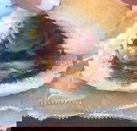 Avenel Cafe - Accommodation Sydney