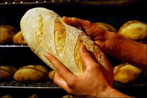 Red Beard Historic Bakery - Accommodation Sydney 0