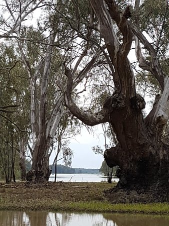 Picola West VIC Sydney 4u