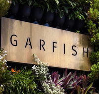 Garfish - Sydney 4u