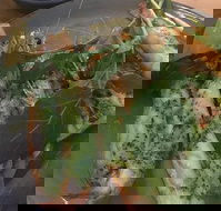 Huxton's - Accommodation Sydney