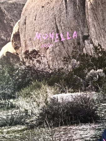Monella Gelato - Accommodation Sydney 0