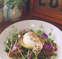 The Shak Organic Cafe  Wine Bar - Accommodation Sydney