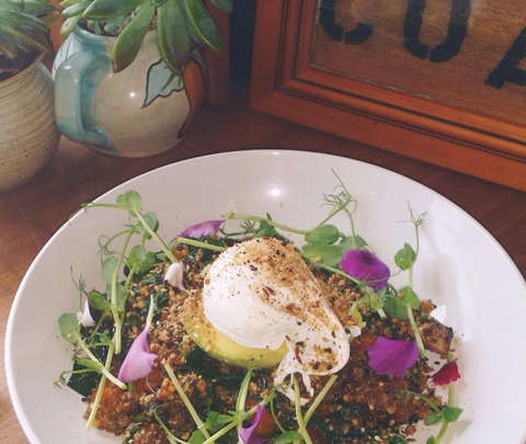 The Shak Organic Cafe & Wine Bar - Accommodation Sydney 0