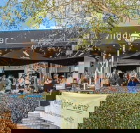 Wild Ginger - Accommodation Sydney